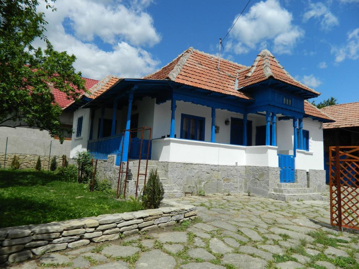 Casa De Vacanta Traditionala Romaneasca Villa Schiulesti Exterior photo