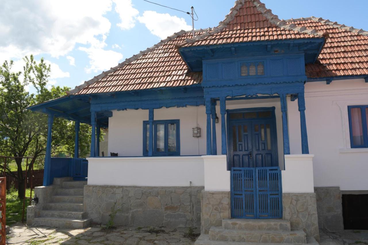 Casa De Vacanta Traditionala Romaneasca Villa Schiulesti Exterior photo