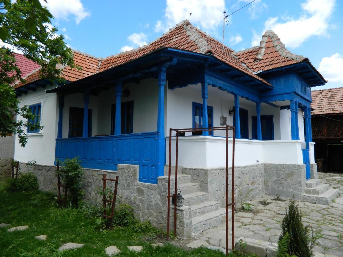 Casa De Vacanta Traditionala Romaneasca Villa Schiulesti Exterior photo