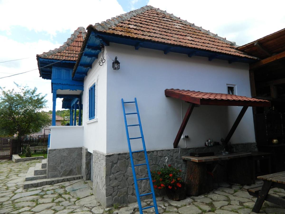 Casa De Vacanta Traditionala Romaneasca Villa Schiulesti Exterior photo